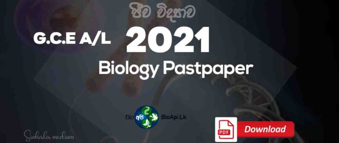 bio 2021 paper